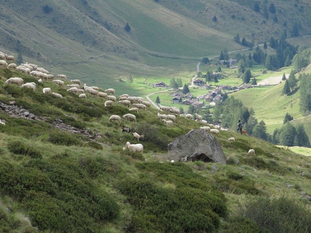 05laghi Ercavallo Bozzi 005